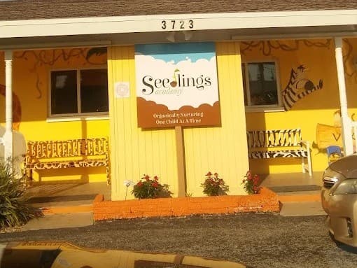 Seedlings Academy