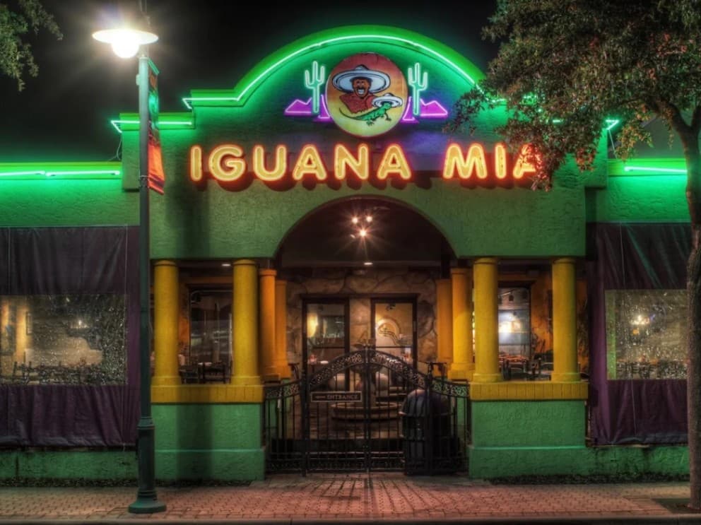 Iguana Mia