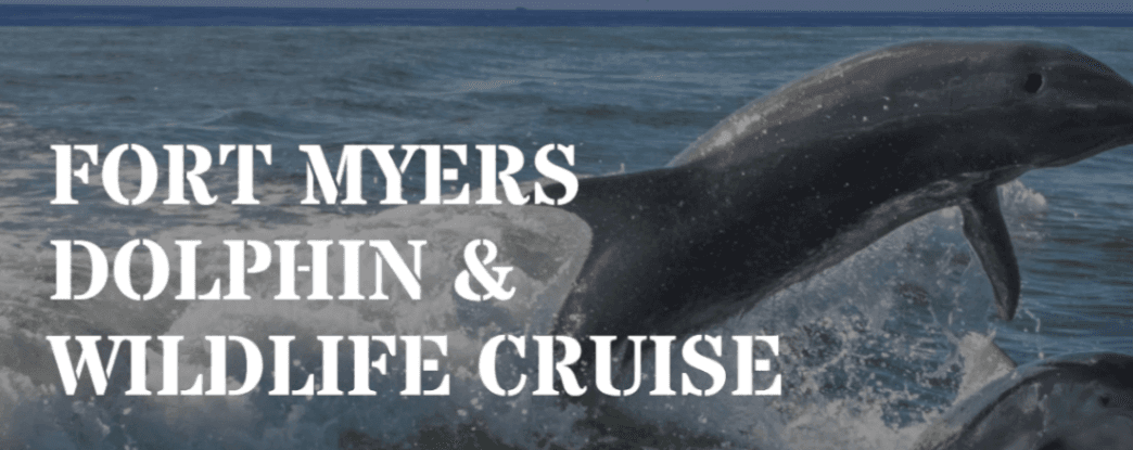 Fort Myers Dolphin & Wildlife Tour | Sight Sea-R Cruises